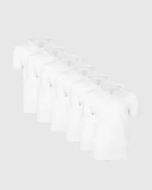 All White V-Neck Tee 6-Pack