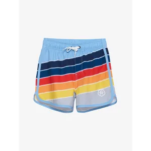 Swim Trunks in Rainbow Stripe