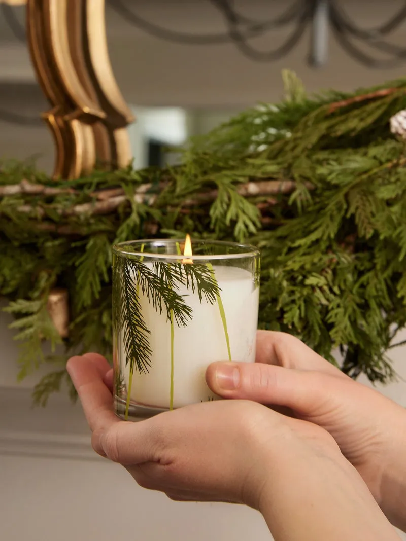 Thymes Frasier Fir Candle Pine Needle - 6.5oz