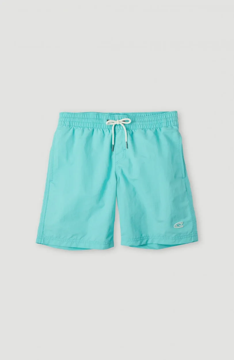 Vert 14\" Swim Shorts | Aqua Spalsh"