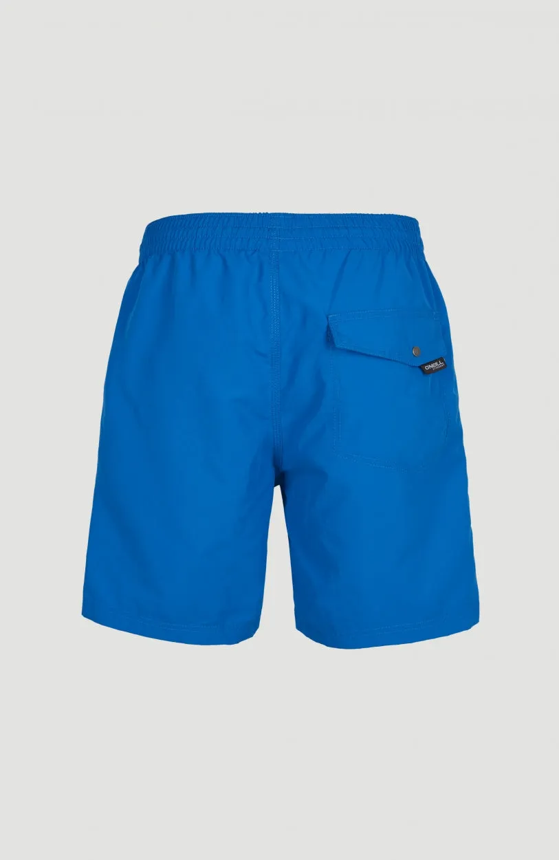 Vert 16'' Swim Shorts | Victoria Blue