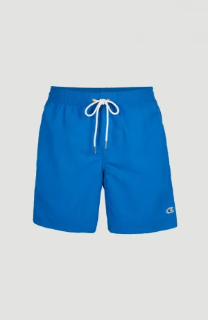 Vert 16'' Swim Shorts | Victoria Blue